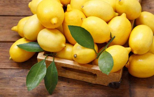 cassetta di limoni - solofinanza.it