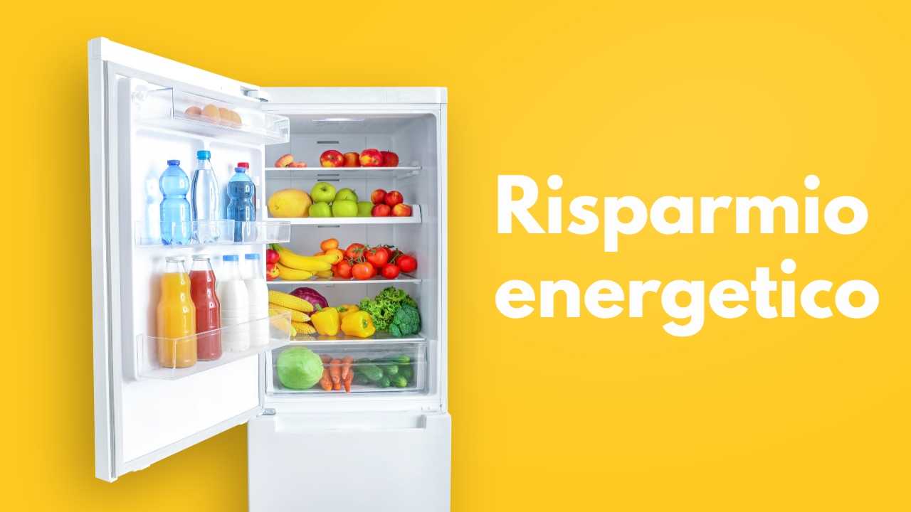 Find out what’s wrong with your refrigerator: without it, bills go down a lot