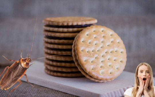 biscotti con scarafaggio