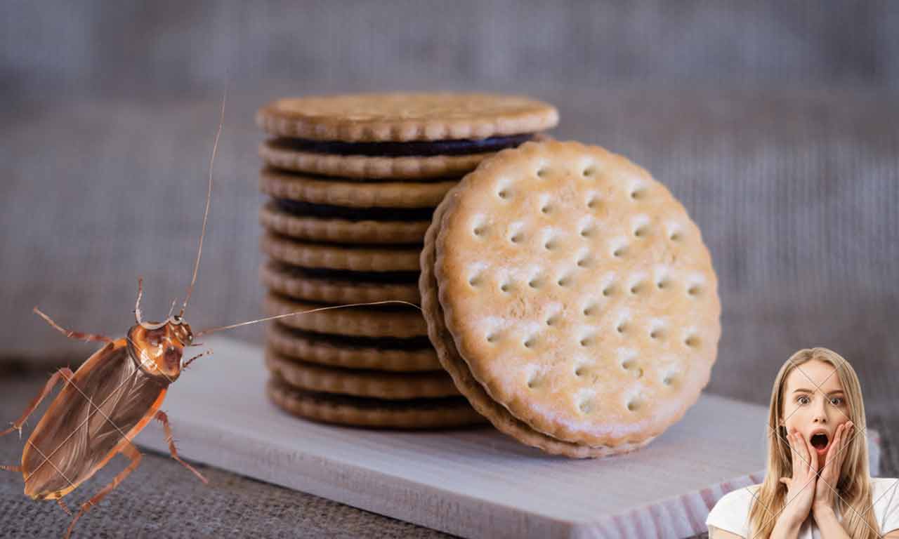 biscotti con scarafaggio