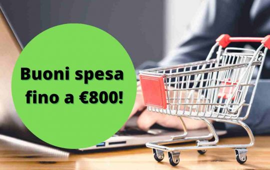 buono spesa 800 euro - solofinanza.it