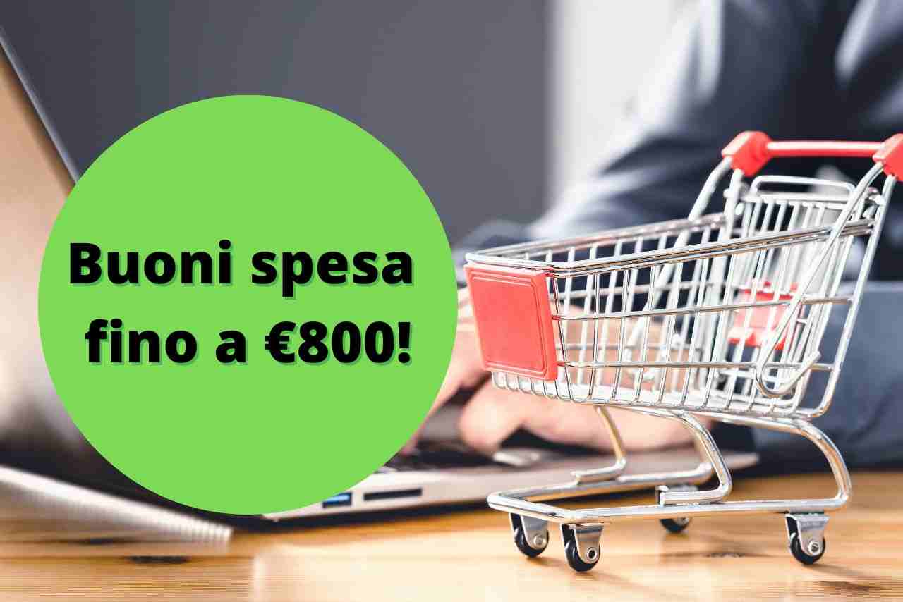 buono spesa 800 euro - solofinanza.it