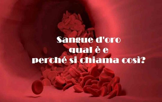 Sangue d'oro