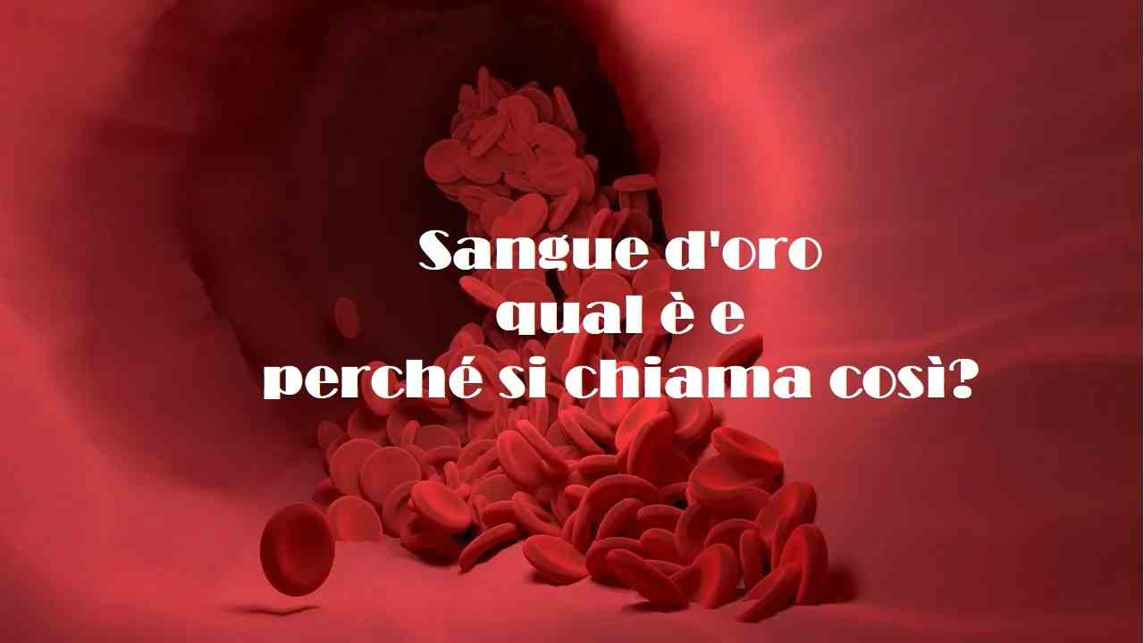 Sangue d'oro