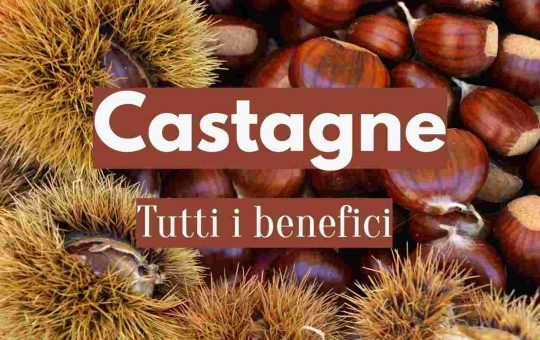 Benefici delle castagne