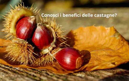 benefici delle castagne