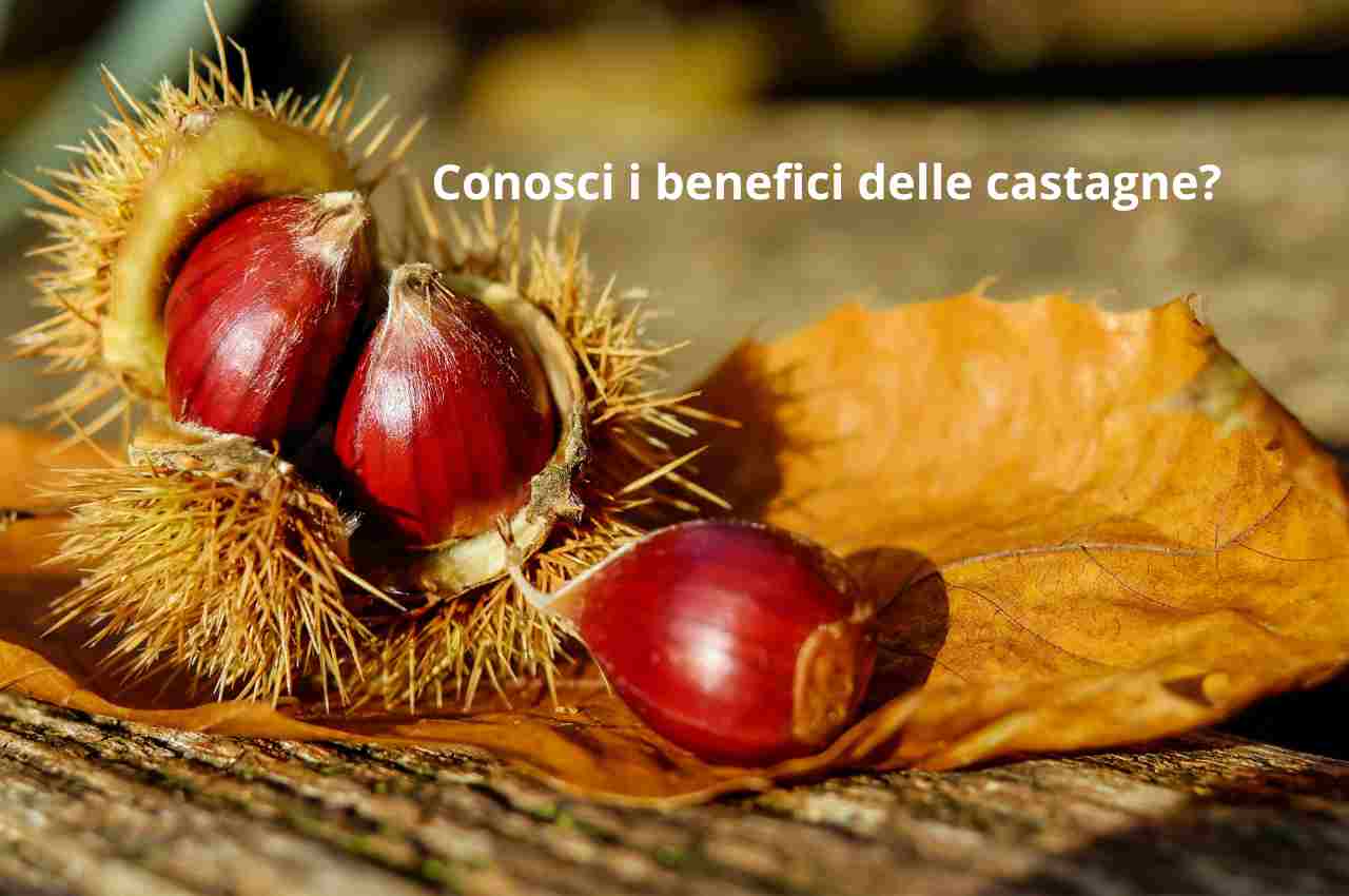 benefici delle castagne