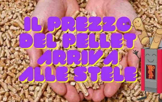 pellet introvabile perché