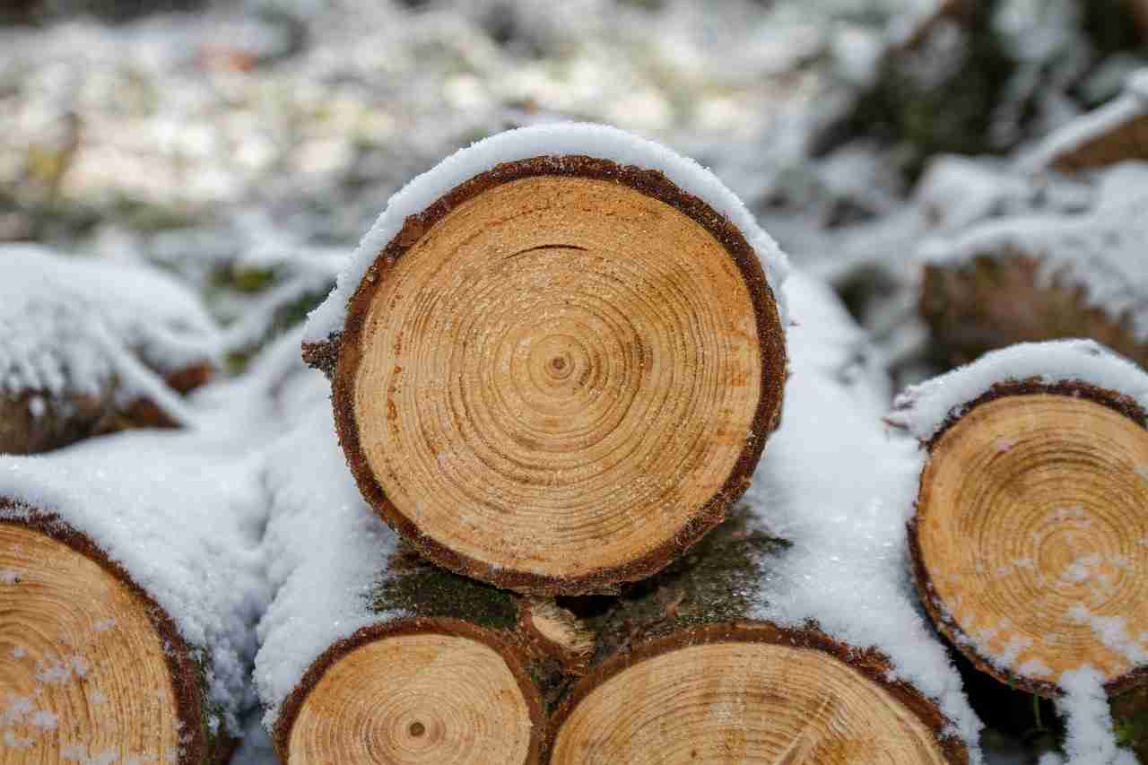 camino stufa legna
