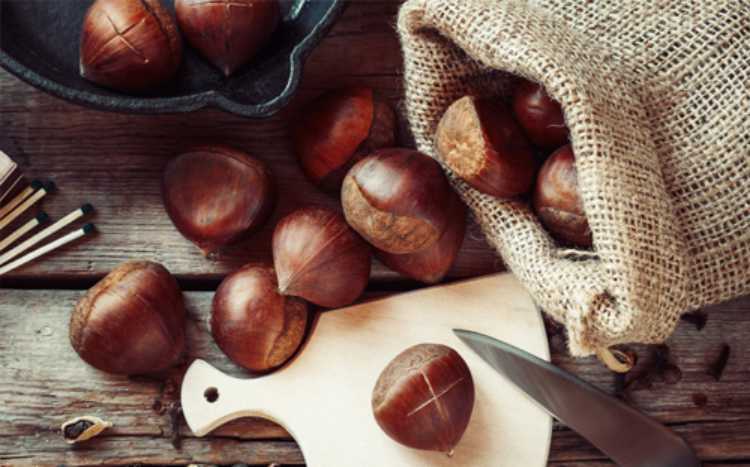 castagne proprieta benefiche per la salute