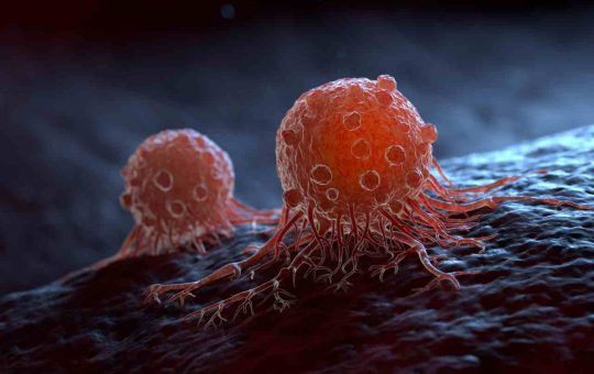 cellula tumorale scoperta