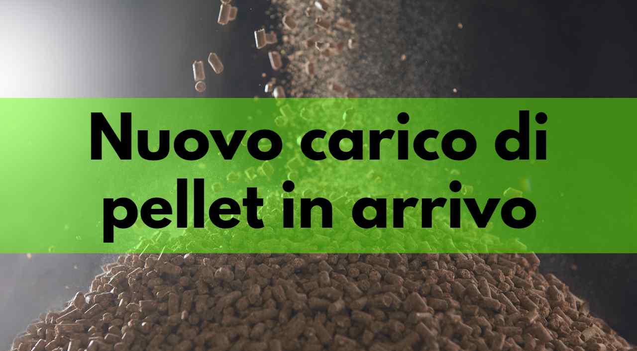 carico pellet