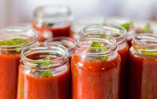 salsa di pomodoro