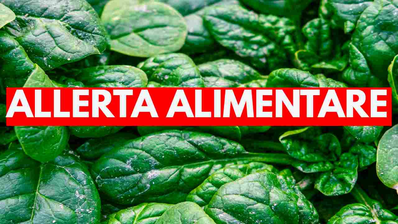 Spinaci contaminati