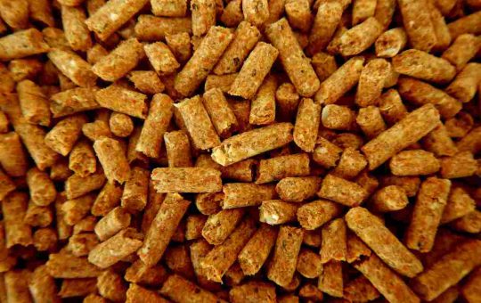 pellet fatto in casa
