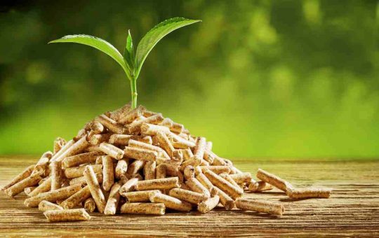 pellet riconoscere qualità