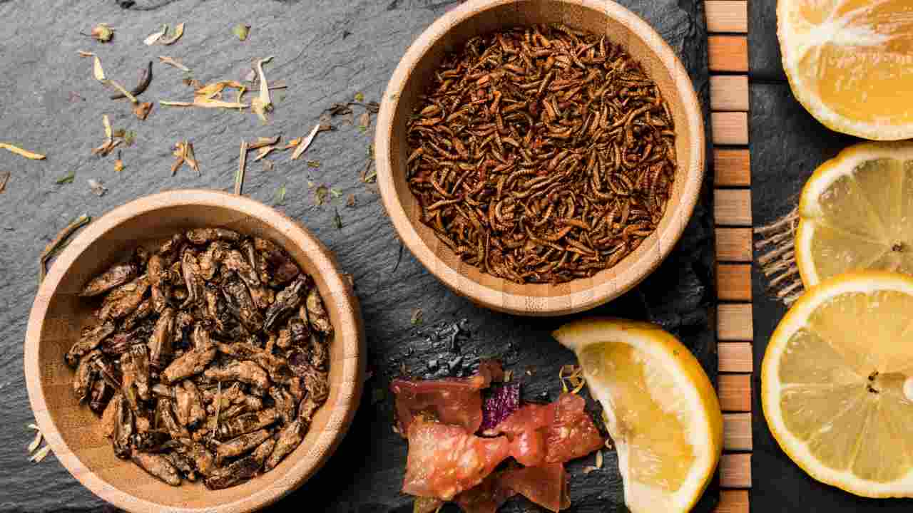 insetti nel cibo