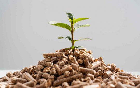 pellet sequestro