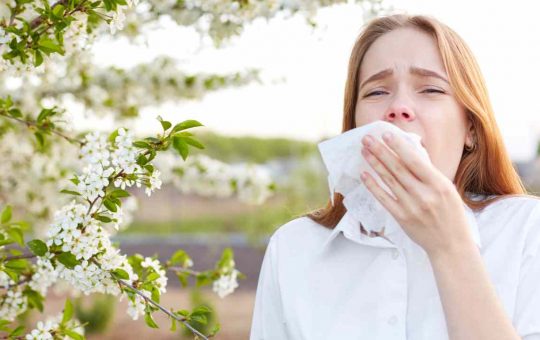 allergia di stagione