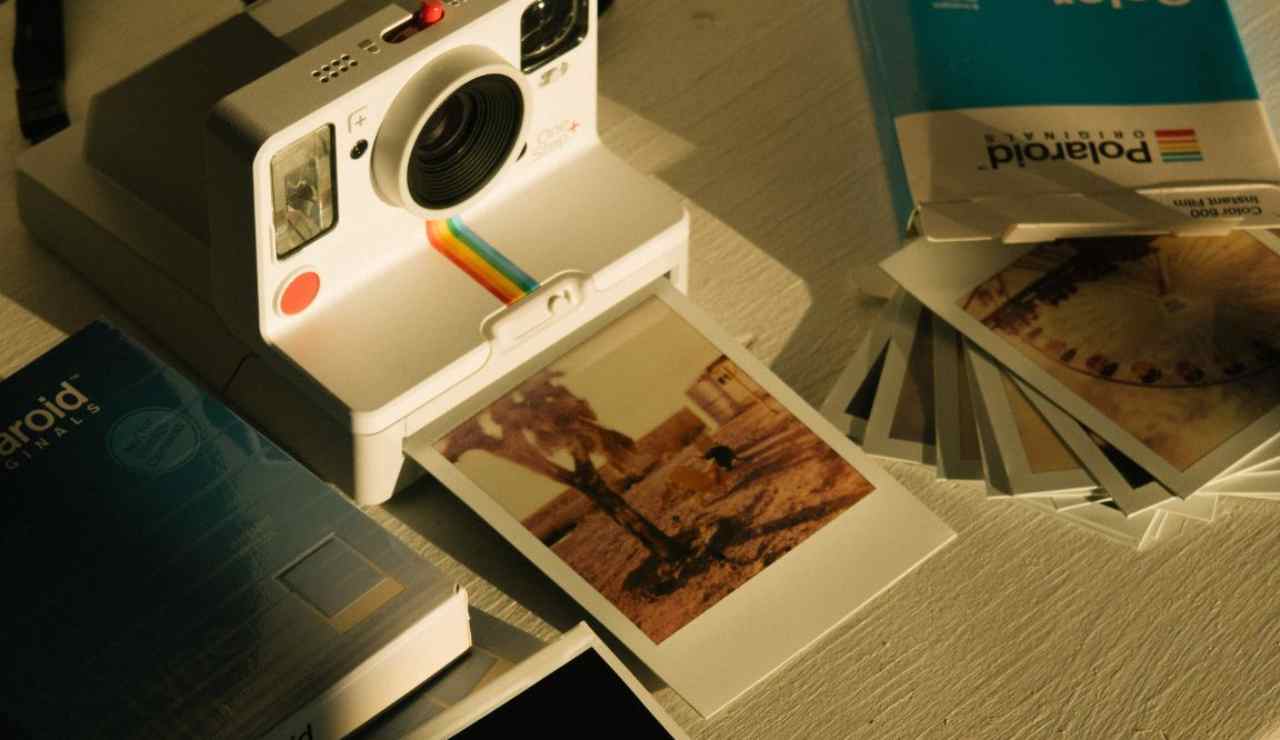 Polaroid 2023