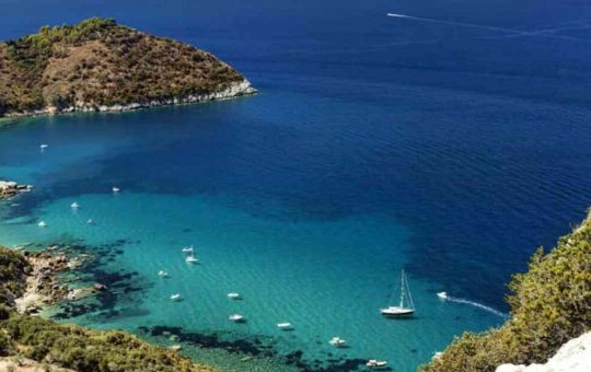 mare