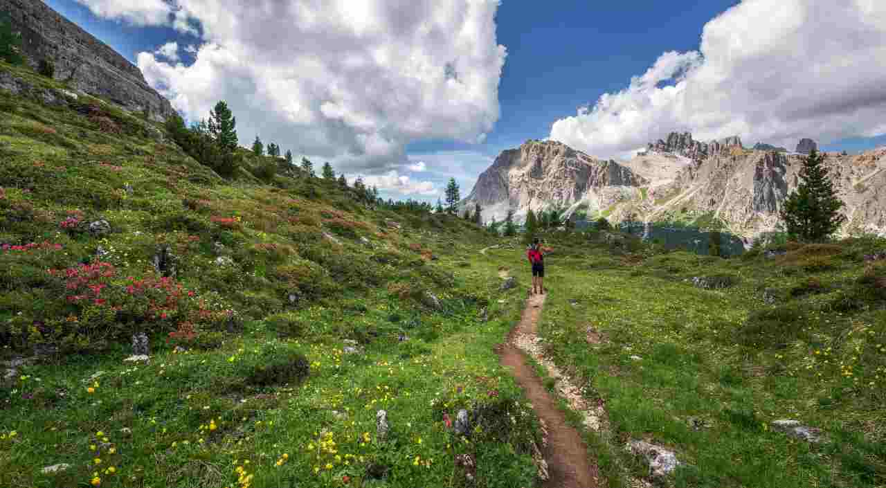 Dolomiti