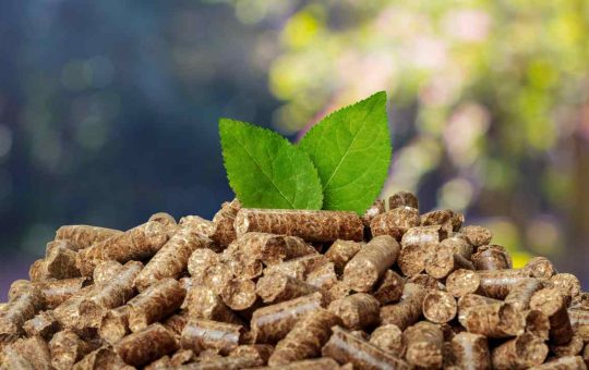 Pellet: una soluzione economica ed ecologica. - Solofinanza.it