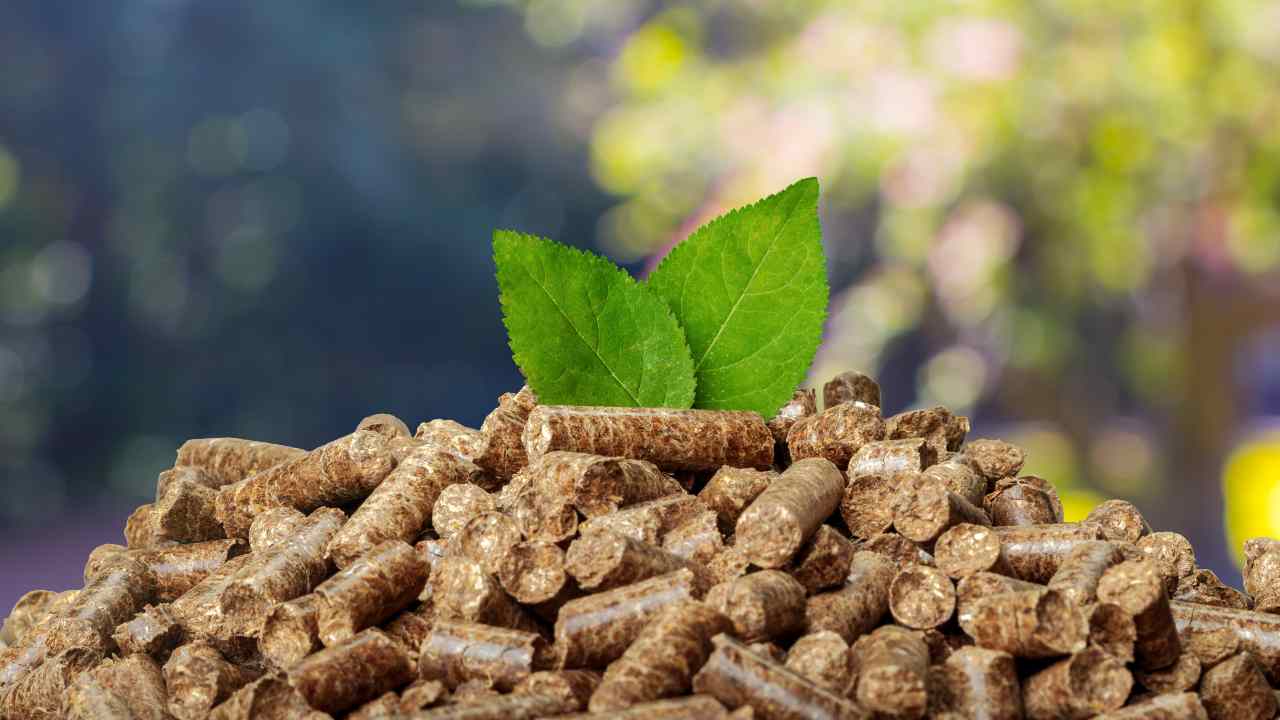 Pellet: una soluzione economica ed ecologica. - Solofinanza.it