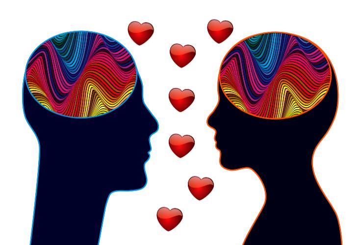amore e cervello