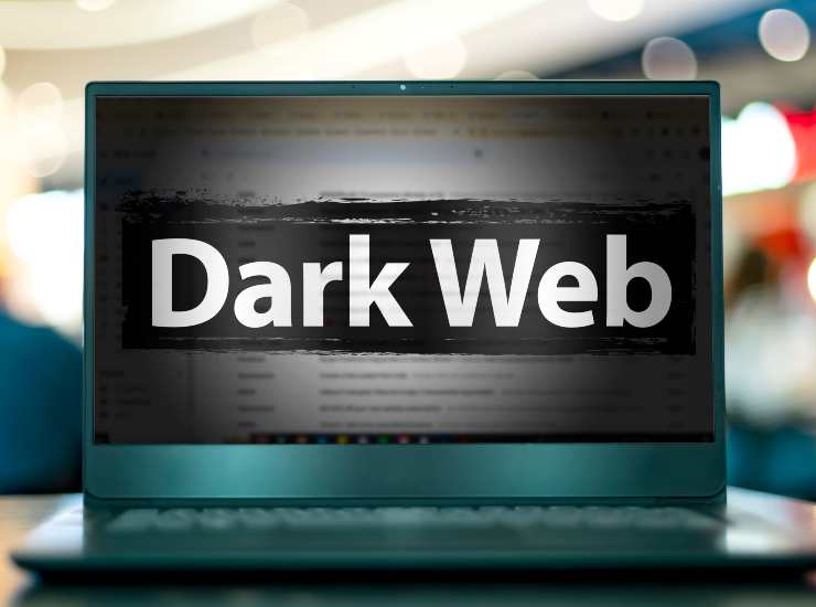 Il dark web è considerato il fondo dell'iceberg di internet: esiste, ma non si vede. - Solofinanza.it
