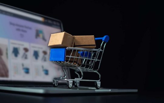 Fare shopping online ha un peso non indifferente. - Solofinanza.it